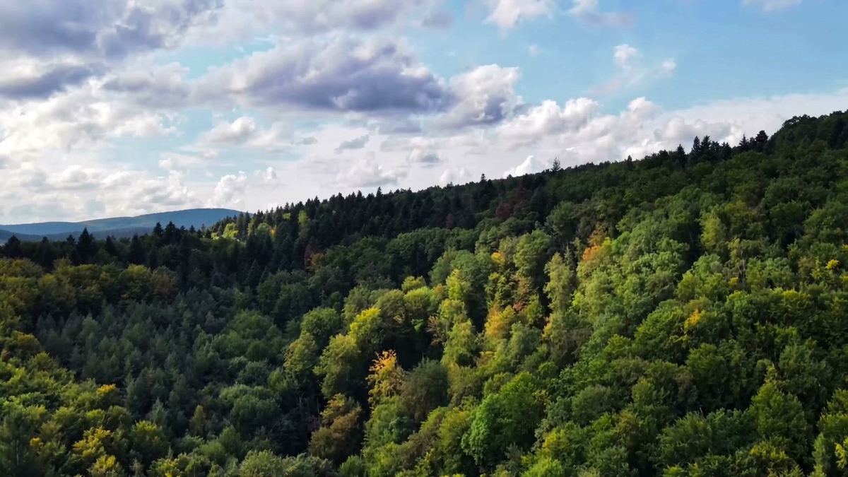 A Nordale luxus erdei menedék — erdő és hegyvidék légifelvételen