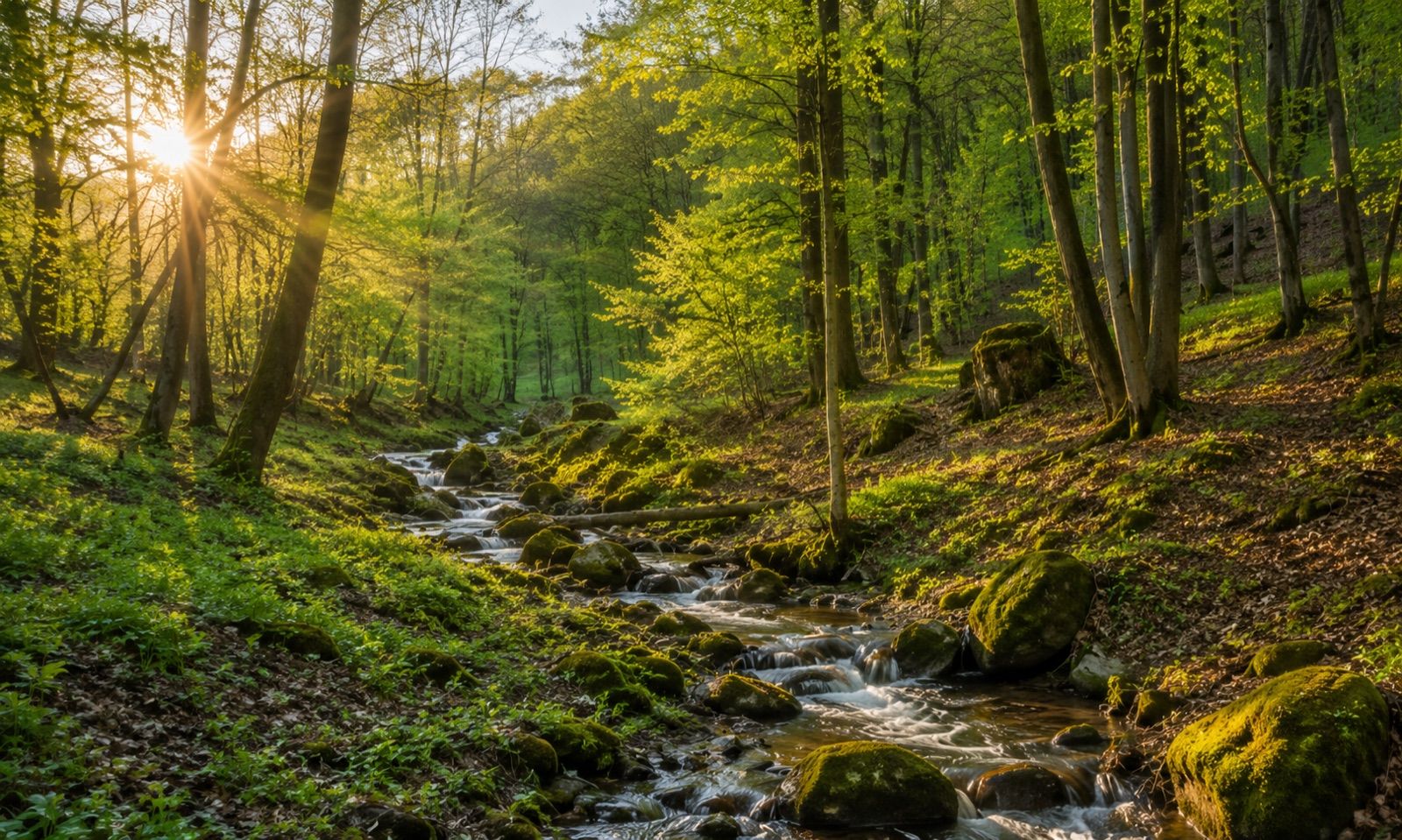 Környezet — Nordale